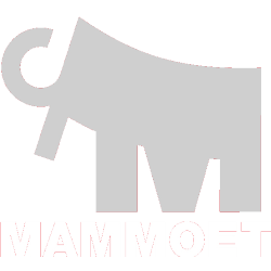 Mammoet